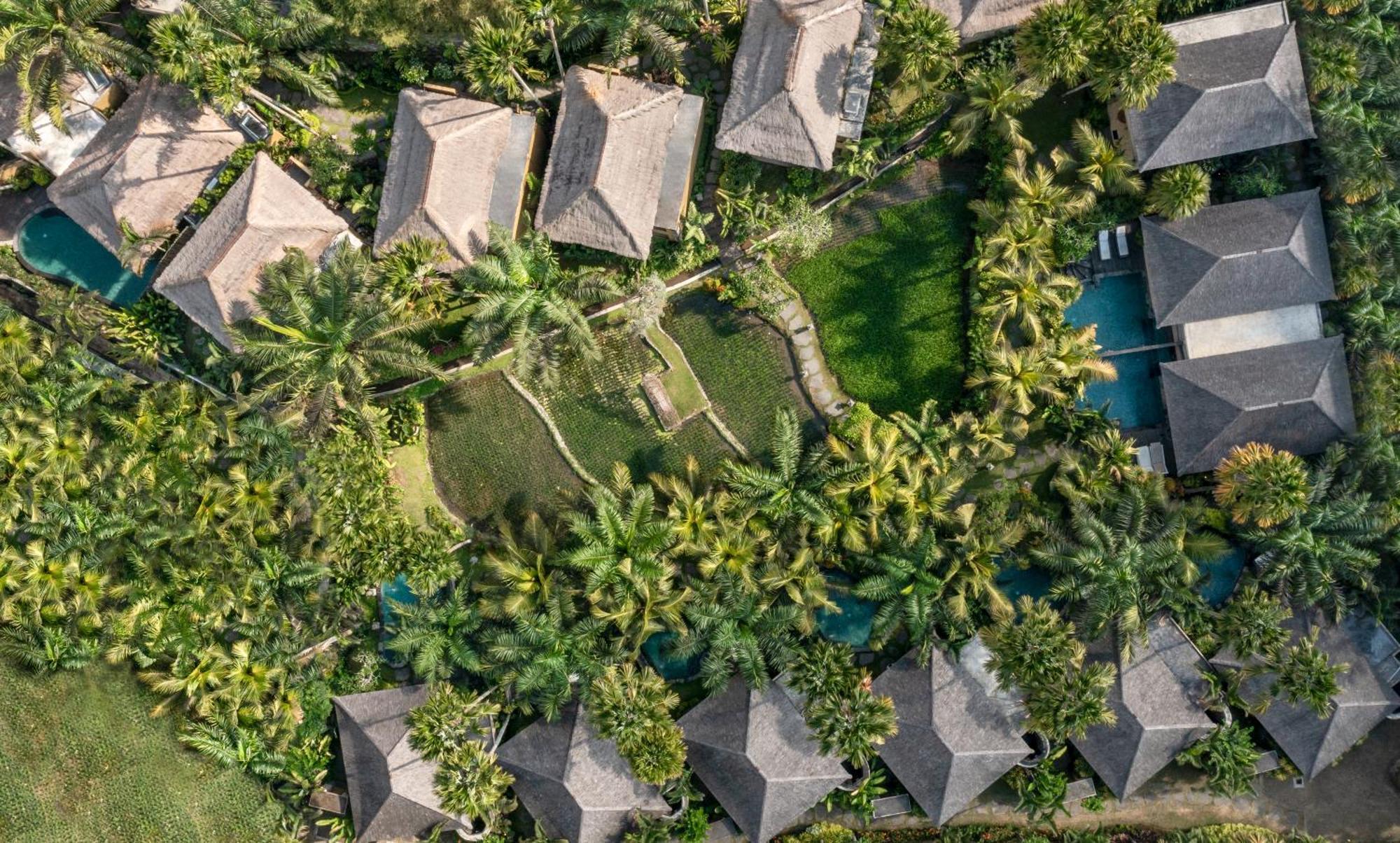 The Sankara Resort By Pramana Ubud Eksteriør bilde
